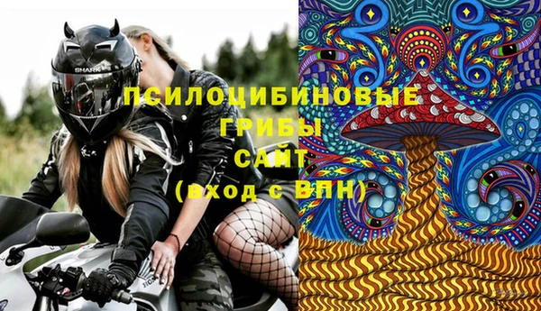 дживик Алексеевка