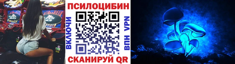 Псилоцибиновые грибы MAGIC MUSHROOMS  Купить закладки  Холм 